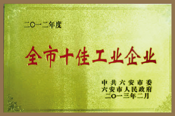 集团被六安市委、市政府评为“全市十佳工业企业”。