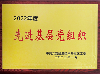 安徽星星集团党委荣获开发区“先进基层党组织”荣誉称号